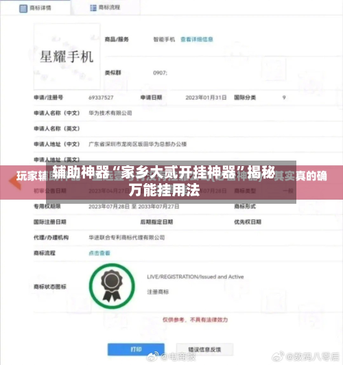 辅助神器“家乡大贰开挂神器”揭秘万能挂用法-第1张图片