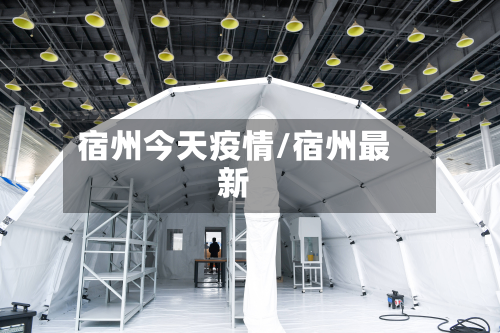 宿州今天疫情/宿州最新-第1张图片