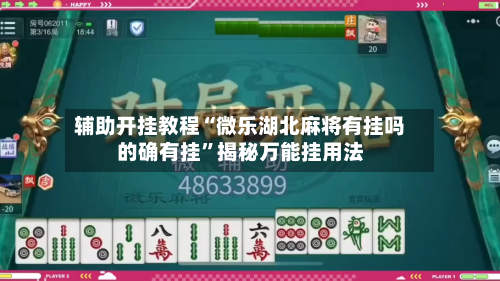 辅助开挂教程“微乐湖北麻将有挂吗的确有挂”揭秘万能挂用法-第3张图片