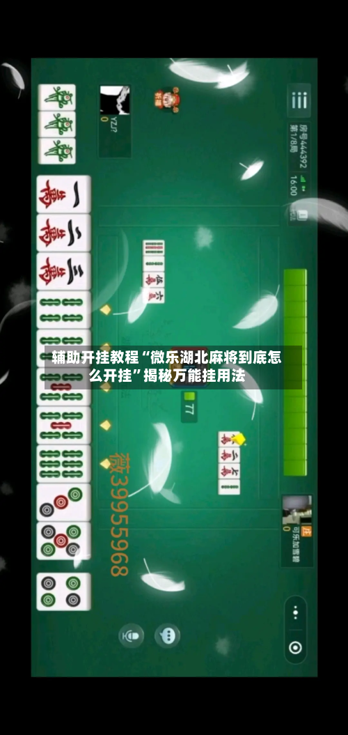 辅助开挂教程“微乐湖北麻将到底怎么开挂”揭秘万能挂用法-第2张图片