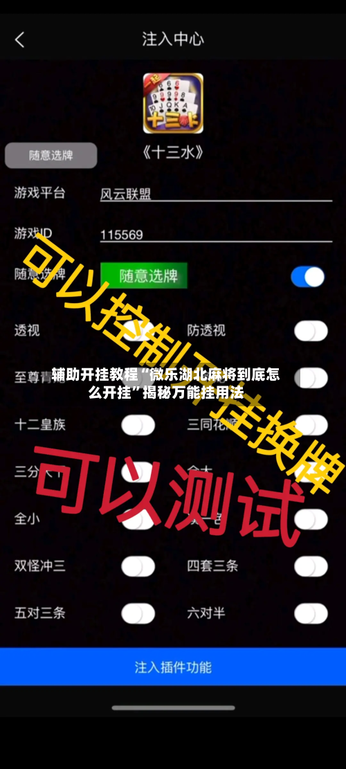 辅助开挂教程“微乐湖北麻将到底怎么开挂”揭秘万能挂用法-第1张图片