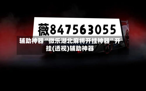 辅助神器“微乐湖北麻将开挂神器”开挂(透视)辅助神器-第2张图片