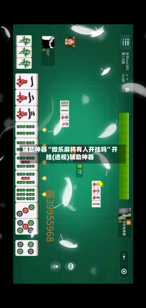 辅助神器“微乐麻将有人开挂吗”开挂(透视)辅助神器-第3张图片