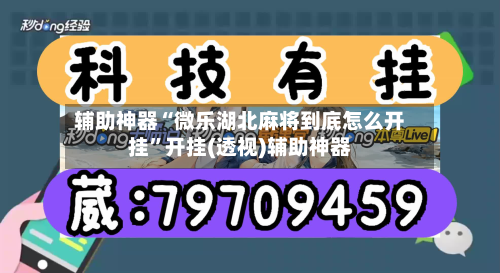 辅助神器“微乐湖北麻将到底怎么开挂”开挂(透视)辅助神器-第2张图片