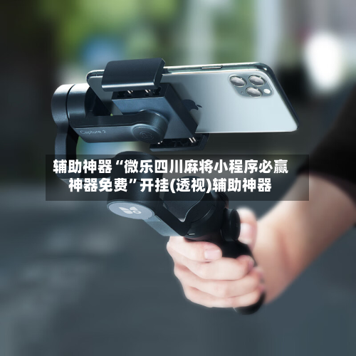 辅助神器“微乐四川麻将小程序必赢神器免费	”开挂(透视)辅助神器-第2张图片