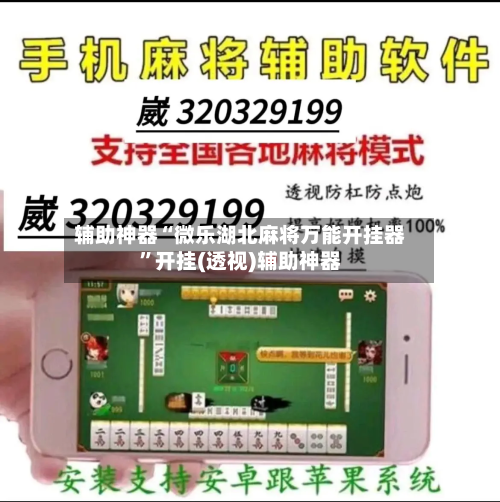 辅助神器“微乐湖北麻将万能开挂器”开挂(透视)辅助神器-第3张图片