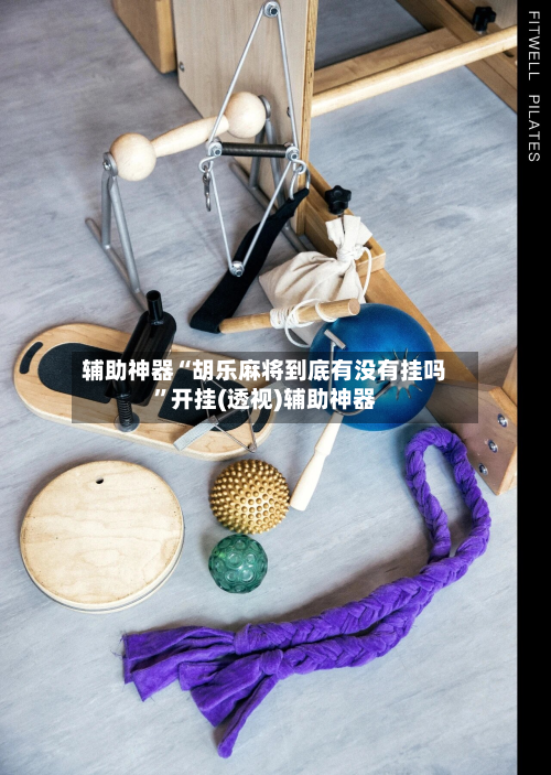 辅助神器“胡乐麻将到底有没有挂吗”开挂(透视)辅助神器-第3张图片