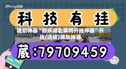辅助神器“微乐湖北麻将开挂神器”开挂(透视)辅助神器-第1张图片