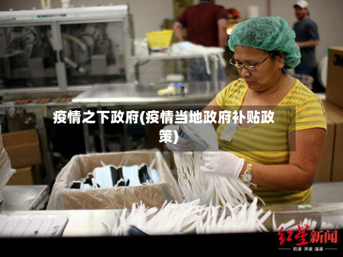疫情之下政府(疫情当地政府补贴政策)-第2张图片