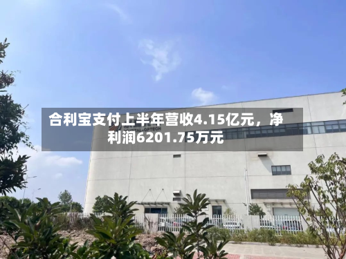 合利宝支付上半年营收4.15亿元	，净利润6201.75万元-第2张图片