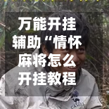 万能开挂辅助“情怀麻将怎么开挂教程	”开挂(透视)辅助神器-第2张图片