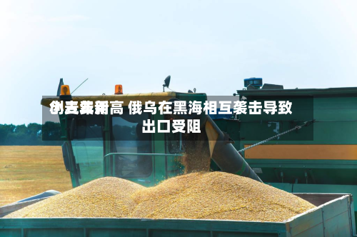 小麦费用
创三年新高 俄乌在黑海相互袭击导致出口受阻-第1张图片