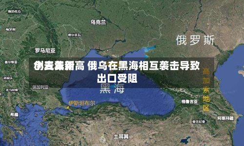 小麦费用
创三年新高 俄乌在黑海相互袭击导致出口受阻-第3张图片