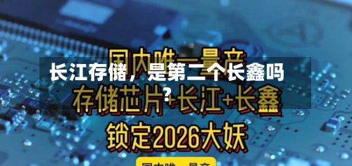 长江存储，是第二个长鑫吗？-第3张图片