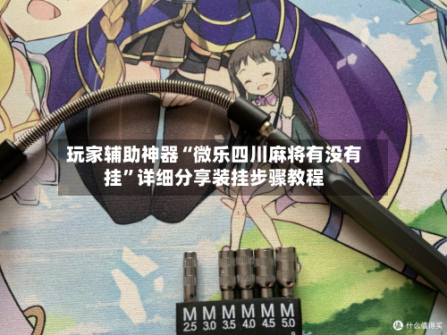 玩家辅助神器“微乐四川麻将有没有挂”详细分享装挂步骤教程-第3张图片