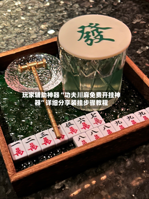 玩家辅助神器“功夫川麻免费开挂神器”详细分享装挂步骤教程-第2张图片