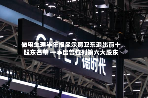 微电生理半年报显示葛卫东退出前十股东名单 一季度曾位列第六大股东-第1张图片