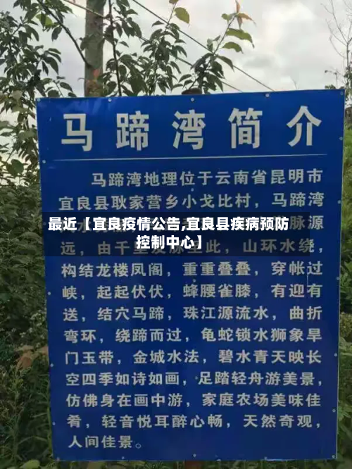 最近【宜良疫情公告,宜良县疾病预防控制中心】-第2张图片