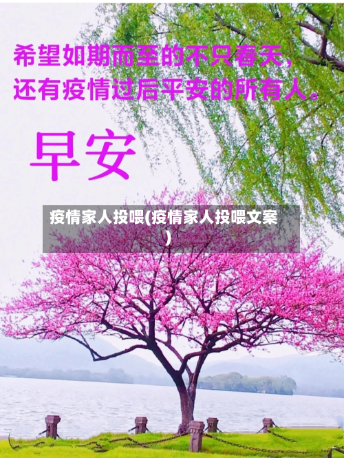 疫情家人投喂(疫情家人投喂文案)-第1张图片