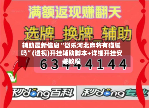 辅助最新信息“微乐河北麻将有猫腻吗”(透视)开挂辅助脚本+详细开挂安装教程-第1张图片