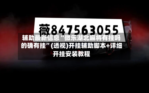 辅助最新信息“微乐湖北麻将有挂吗的确有挂	”(透视)开挂辅助脚本+详细开挂安装教程-第1张图片