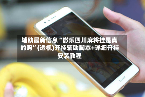 辅助最新信息“微乐四川麻将挂是真的吗	”(透视)开挂辅助脚本+详细开挂安装教程-第1张图片