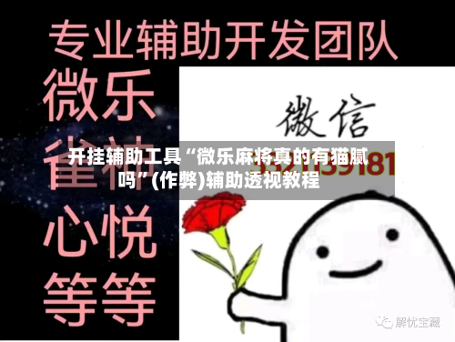 开挂辅助工具“微乐麻将真的有猫腻吗”(作弊)辅助透视教程-第2张图片
