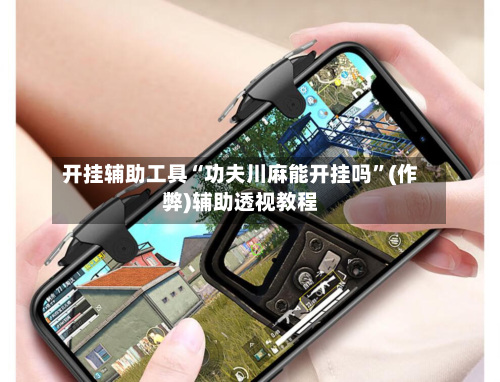 开挂辅助工具“功夫川麻能开挂吗”(作弊)辅助透视教程-第2张图片