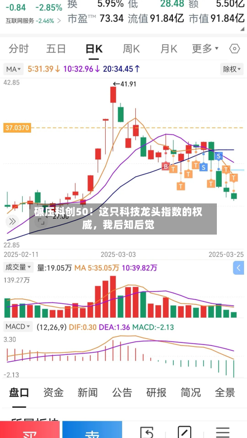 碾压科创50！这只科技龙头指数的权威	，我后知后觉-第3张图片