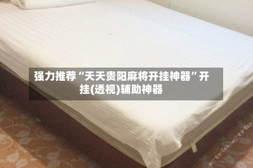 强力推荐“天天贵阳麻将开挂神器”开挂(透视)辅助神器-第2张图片