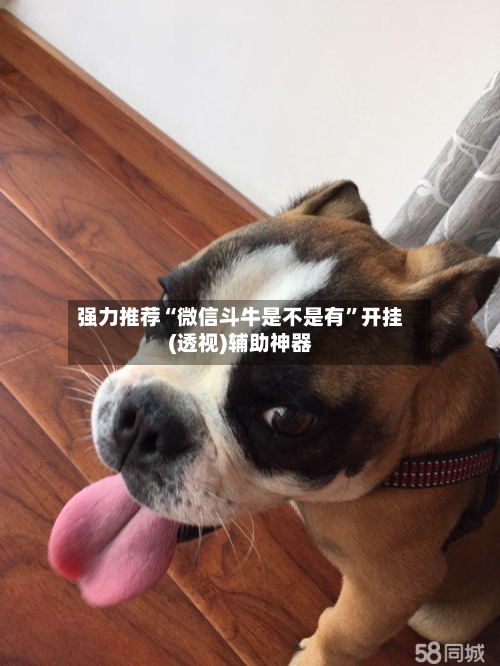强力推荐“微信斗牛是不是有	”开挂(透视)辅助神器-第1张图片
