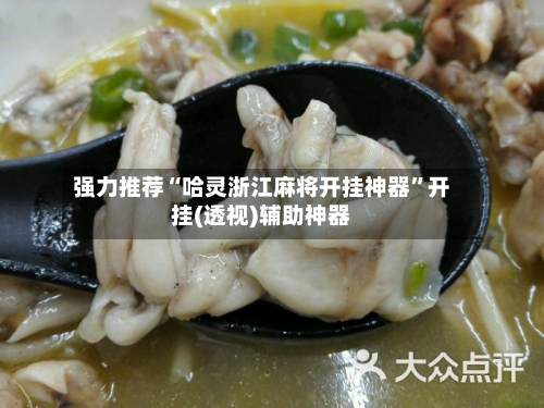 强力推荐“哈灵浙江麻将开挂神器”开挂(透视)辅助神器-第1张图片