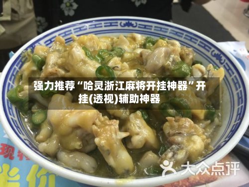 强力推荐“哈灵浙江麻将开挂神器”开挂(透视)辅助神器-第2张图片