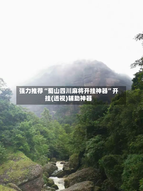 强力推荐“蜀山四川麻将开挂神器	”开挂(透视)辅助神器-第1张图片