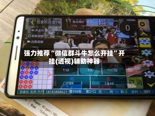 强力推荐“微信群斗牛怎么开挂”开挂(透视)辅助神器-第2张图片