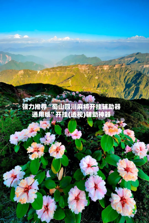 强力推荐“蜀山四川麻将开挂辅助器通用版	”开挂(透视)辅助神器-第1张图片