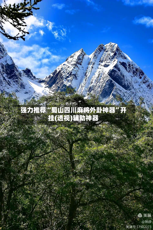 强力推荐“蜀山四川麻将外卦神器”开挂(透视)辅助神器-第1张图片