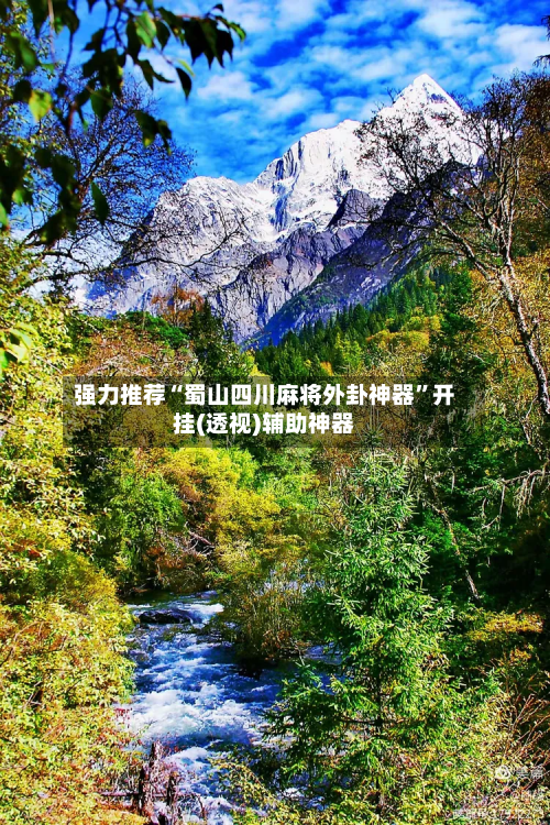 强力推荐“蜀山四川麻将外卦神器”开挂(透视)辅助神器-第2张图片