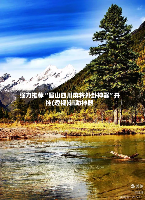 强力推荐“蜀山四川麻将外卦神器	”开挂(透视)辅助神器-第3张图片
