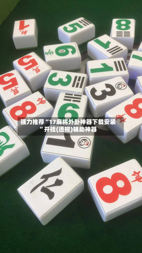 强力推荐“17麻将外卦神器下载安装”开挂(透视)辅助神器-第3张图片