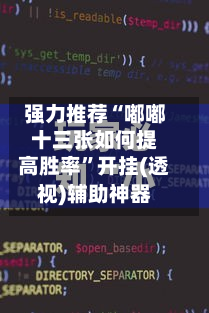 强力推荐“嘟嘟十三张如何提高胜率”开挂(透视)辅助神器-第2张图片