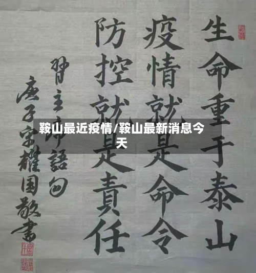 鞍山最近疫情/鞍山最新消息今天-第2张图片