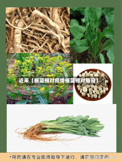 近来【板蓝根对疫情板蓝根对新冠】-第1张图片