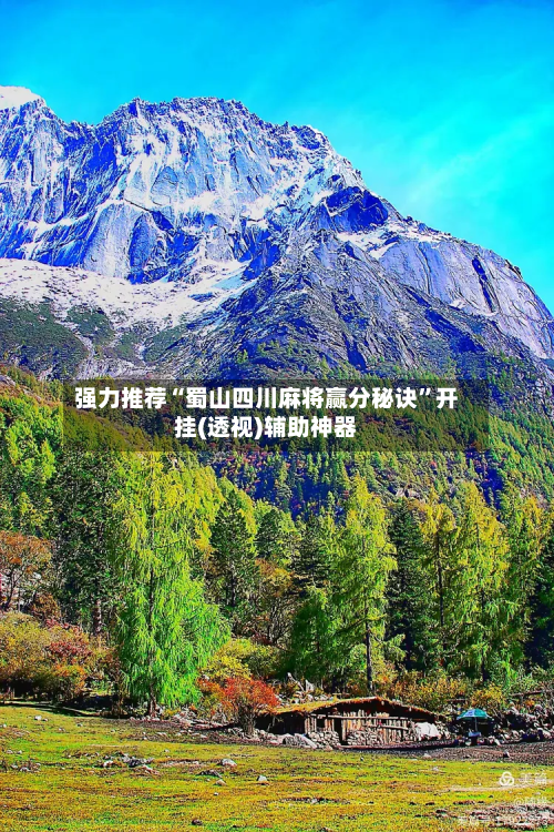 强力推荐“蜀山四川麻将赢分秘诀”开挂(透视)辅助神器-第2张图片