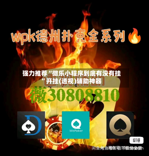强力推荐“微乐小程序到底有没有挂”开挂(透视)辅助神器-第1张图片