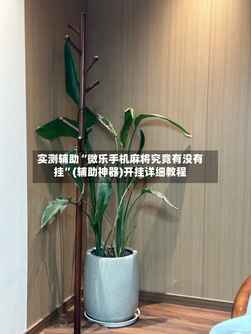 实测辅助“微乐手机麻将究竟有没有挂”(辅助神器)开挂详细教程-第2张图片