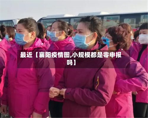 最近【襄阳疫情图,小规模都是零申报吗】-第3张图片