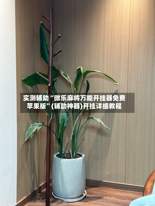 实测辅助“微乐麻将万能开挂器免费苹果版	”(辅助神器)开挂详细教程-第3张图片