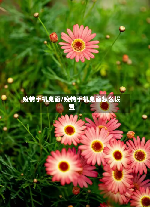 疫情手机桌面/疫情手机桌面怎么设置-第2张图片