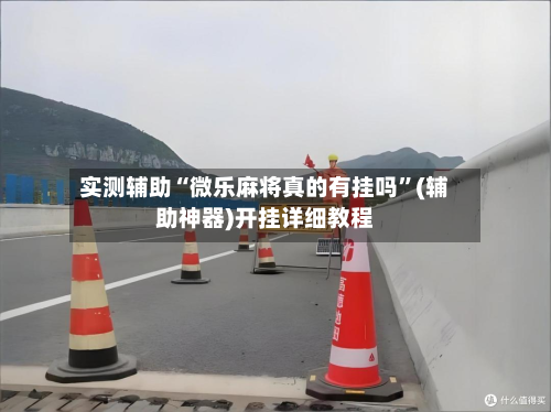 实测辅助“微乐麻将真的有挂吗”(辅助神器)开挂详细教程-第1张图片